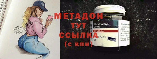 шишки Белокуриха