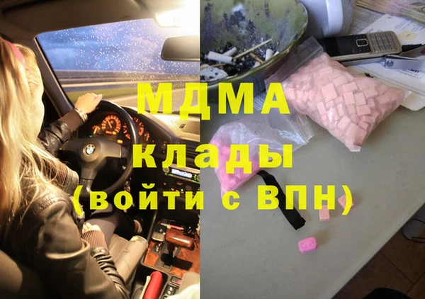 шишки Белокуриха