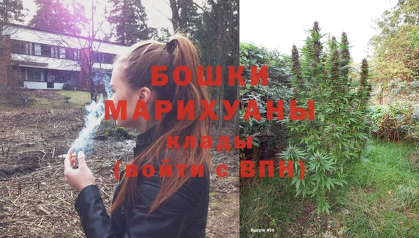 шишки Белокуриха