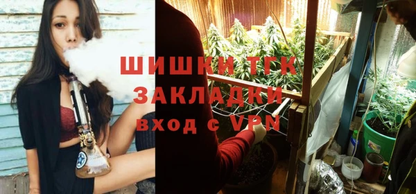 экстази Богданович