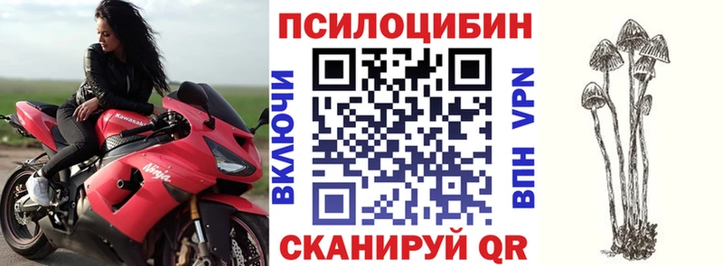 Псилоцибиновые грибы Psilocybine cubensis где найти Вязьма