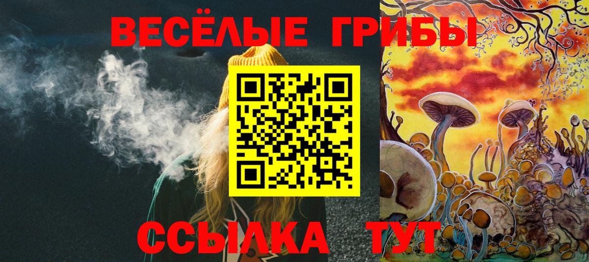 Вязьма  Псилоцибиновые грибы мицелий  что такое   Вход с VPN 